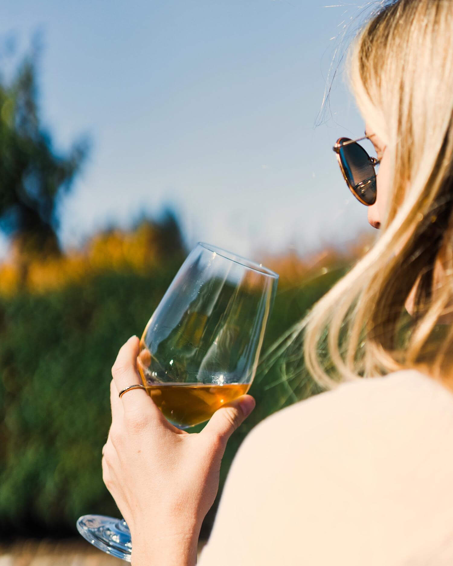Walking Vineyard Tour And Wine Tasting