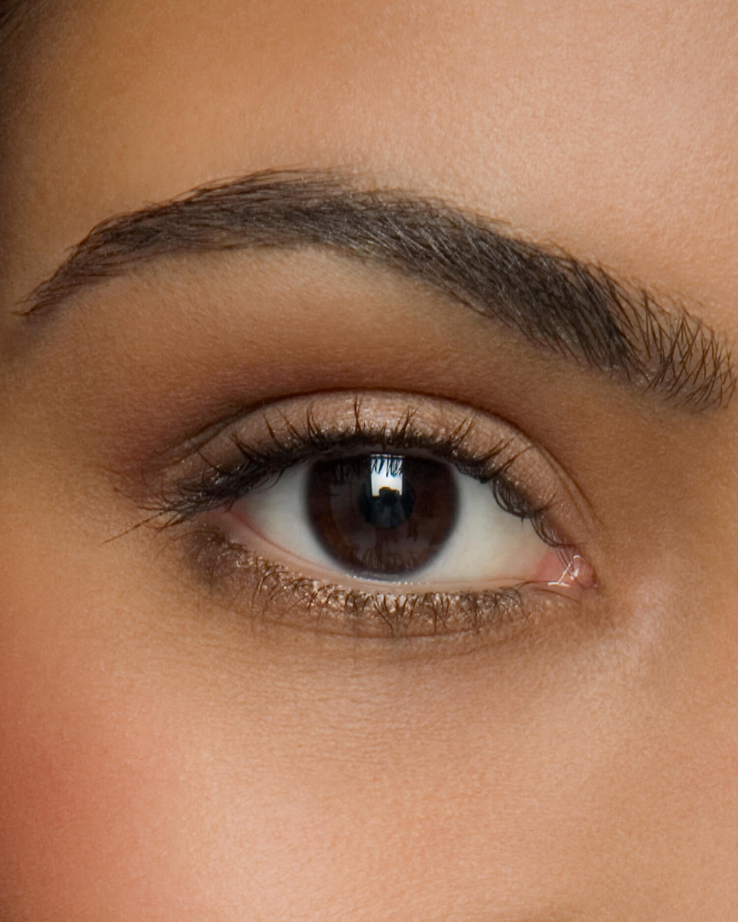Close up of woman's eye and eyebrow.