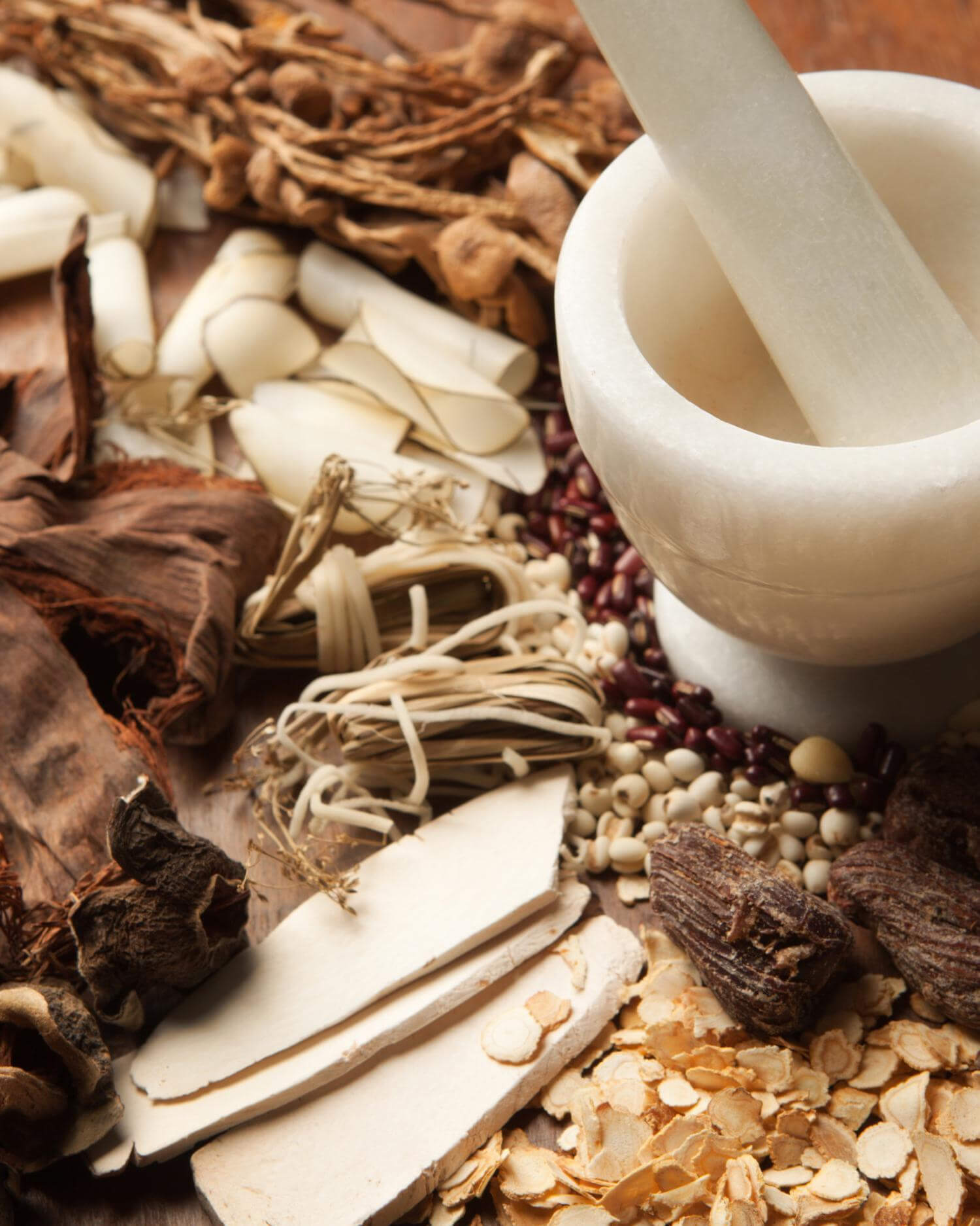 Multiple medicinal Chinese herbs with pestle and mortar.