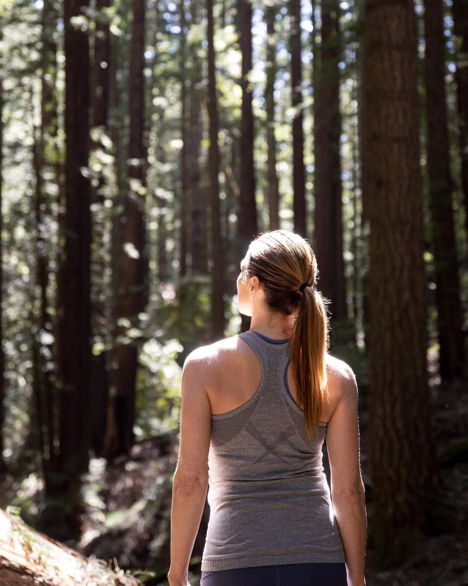 Shinrin Yoku: Forest Bathing