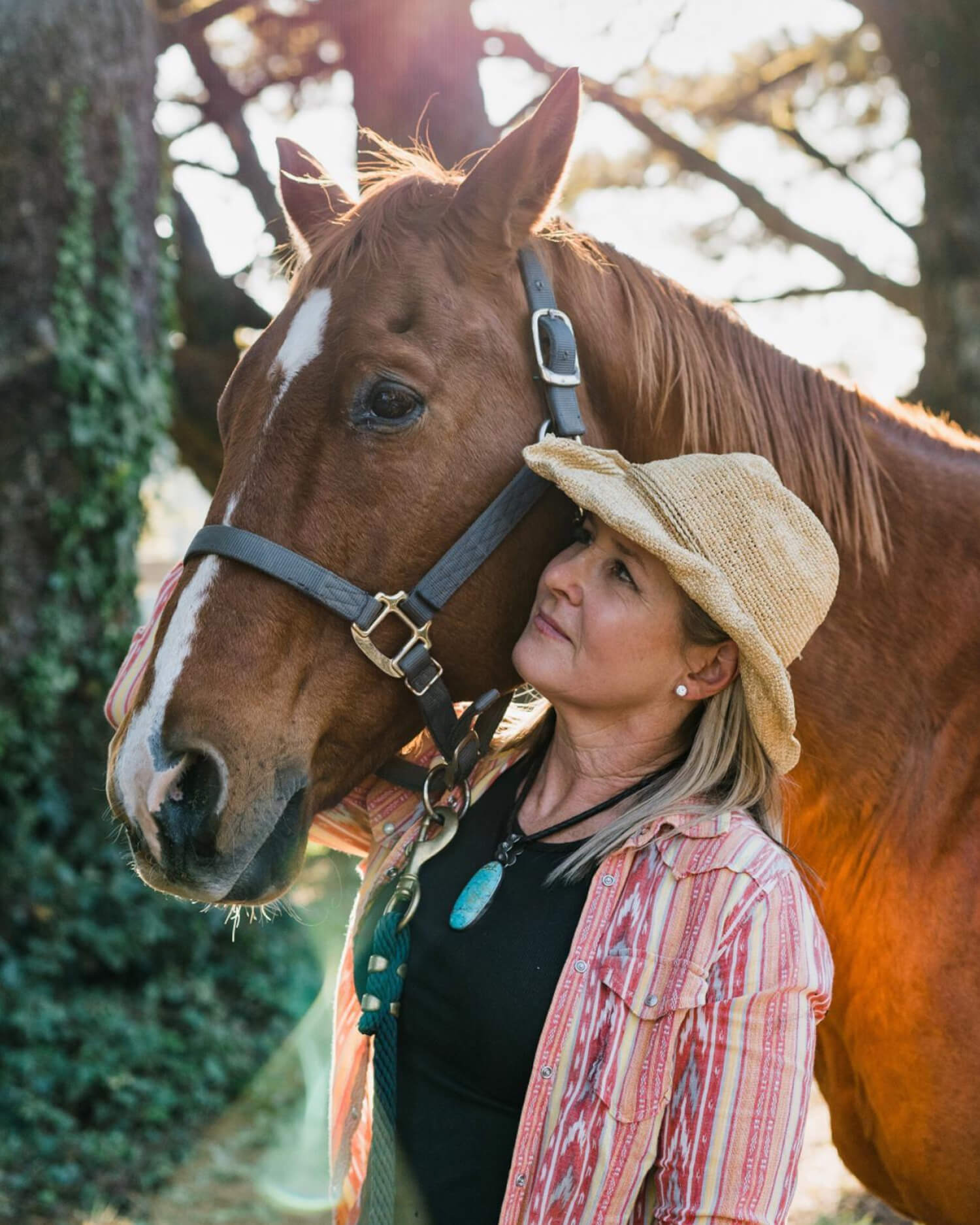 Equus Coaching